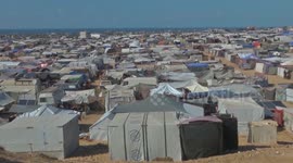Palestinian death toll in Gaza rises to 41,802