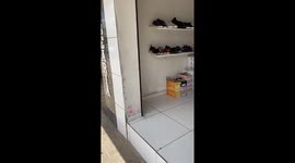 Man reunited lost hummingbird with its mother in Brazil