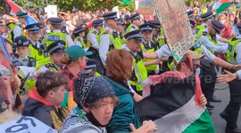 Police clash with Palestine protesters ahead of London rally