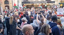 Palestinian supporters occupy whitehall