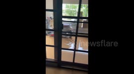 Thailand: Major Flooding Hits Chiang Mai Forcing Residents And Animals To Evacuate 11