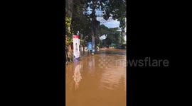 Thailand: Major Flooding Hits Chiang Mai Forcing Residents And Animals To Evacuate 10