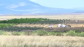 Mongolians observe National Autumn Tree Planting Days