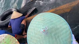 Dramatic Evacuation of Spotted Whales Entangled in Fishermen's Nets in Bungus, Padang City, West Sumatra