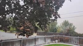 US: Dust Storm Reduces Visibility In Idaho-Washington Area, Triggering Multiple Crashes