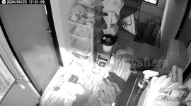 Man takes a tumble when he accidentally steps on his own pet cat