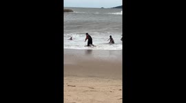 Beachgoers rescue child struggling in choppy sea