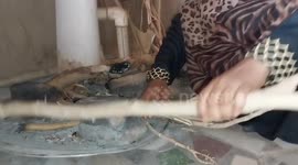 Sudan: The Sudanese army controls parts of the city of Bahri