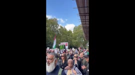 Pro-Palestinian protest in London calls for ceasefire