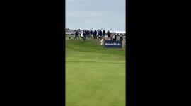 Dog fetches golf ball at Carnoustie Golf Links