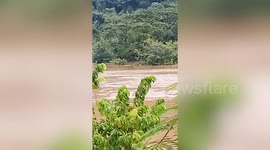 Blind elephant swept by flash flood rescued as heavy rain batters Thailand