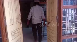India: Cobra spotted inside house as mother pulls out winter clothing in central India