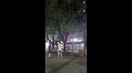 Racket gets stuck while dislodging shuttlecock from tree