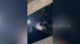 Firemen remove huge python wrapped around man's leg