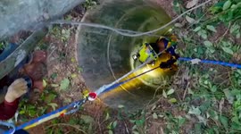 Rescuers rappel down abandoned well to save wounded calf