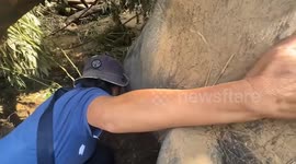Heartbreaking moment animal lover bursts into tears hugging dead elephant after flood