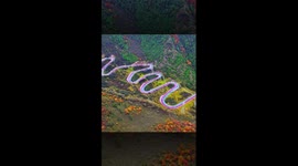 Holiday traffic lights up dragon-shaped road