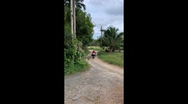 Postie's pet dog rides on the back of his motorcycle to deliver letters