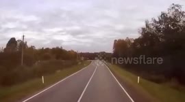 Russia: Lorry Loaded With Logs Overturns On Sharp Bend, Causing Multi-Vehicle Collision And Leaving Two Injured