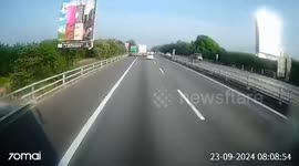 Chicken flies into car windscreen at high speed