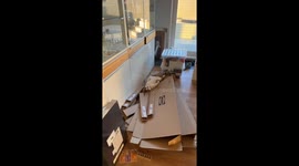 Cat In Cardboard Heaven