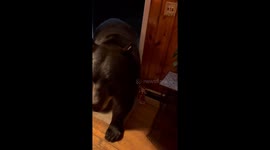 Mr. Doorman Does His Thing