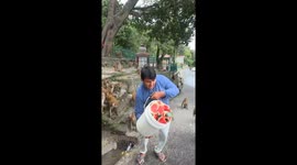 Feeding Monkeys a Bucket of Watermelon