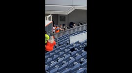 Raccoon Crashes Broncos' Game