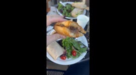 Shocking moment as praying mantis is discovered in salad at Urth Café, gaining 4 million views on Instagram