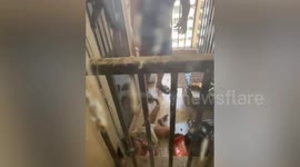 Girl, 3, survives after falling from '27th floor of building' in India