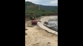 Crocodiles approach food truck in Indonesia