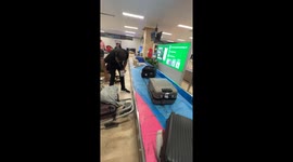 Corgi Boss delights passengers with luggage antics in Cebu