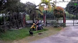 Woman crashes motorcycle on fence inside yard