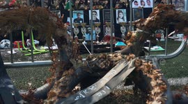 Golan Heights: Parents left desperate as rocket attack claims children's lives in Golan Heights