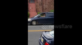 Horse rides in car in Pennsylvania, USA