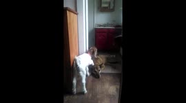 Pretty Please Play with MEEEEE!