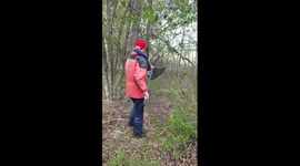 Great horned owl rescue, part 2