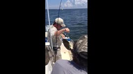 Boater rescues sea turtle in Florida