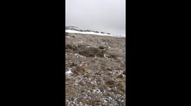 Wild Winds on Fairfield