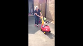 Oscar the Pug out for a Chillaxing Drive (push), Chillin with the Children. CREDIT: Vickie Gibbons.
