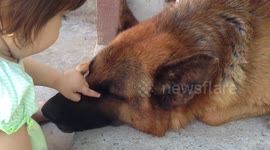 Dog stays calm as baby taunts him