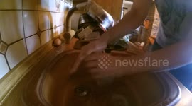 How to peel an egg in 30 seconds