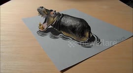 How I Draw a 3D Drawing a Hippo, Trick Art by Vamos