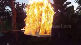 Brazilian activist performs dangerous stunt