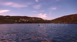 DUPLICATE Basking shark comes within metres of school paddling trip