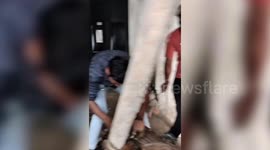 Injured dog rescued after being freed from tin can in central India