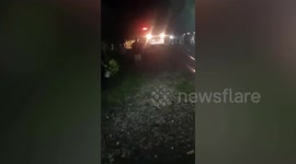 Missing grandmother, 59, killed by crocodile in Indonesia