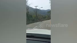 Wheelchair user seen overtaking cars on rural road in Brazil