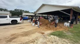 Dundee Florida Sand Distribution