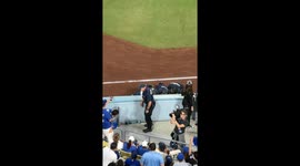 Security Gets Involved at Dodgers Stadium